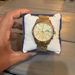 Montres camden prestige invicta X Watch