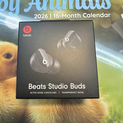 Beats Studio Buds