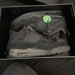 Jordan 4s 