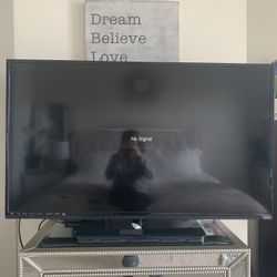 Vizio TV 44”