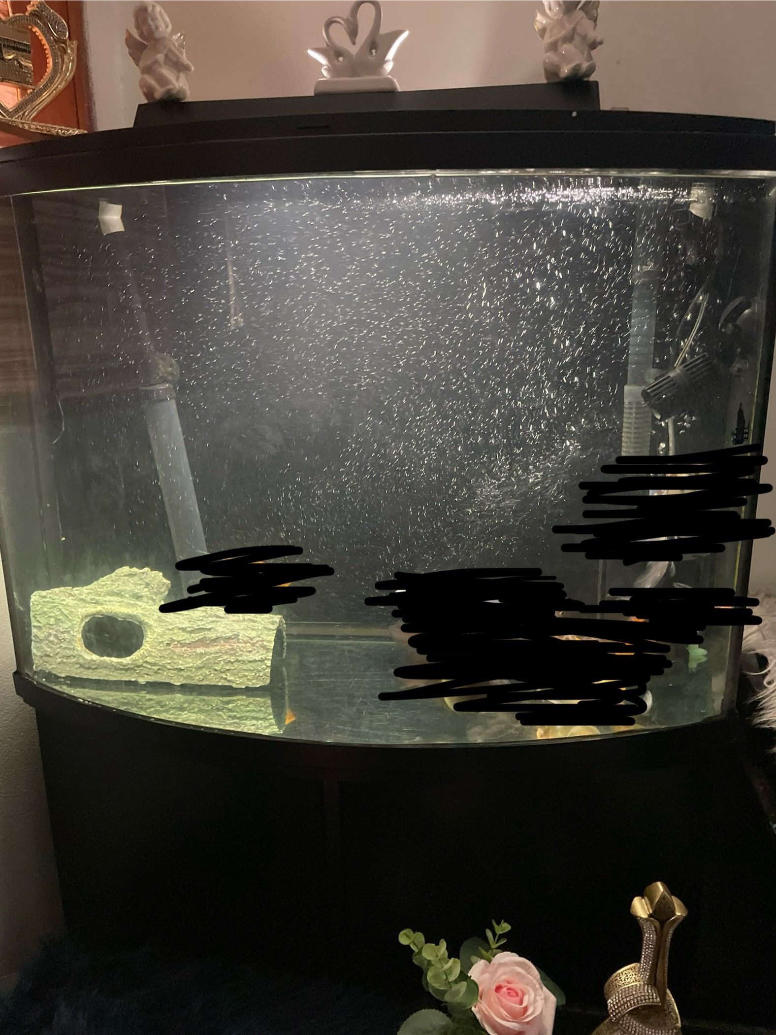 Big Fish Tank FISH NOT INCLDED⚠️⚠️