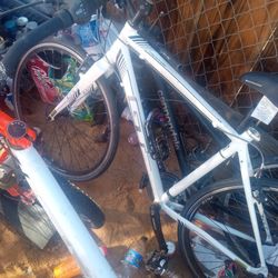 GT Tachyon 4.0 Bike