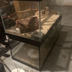 Reptile Terrarium 