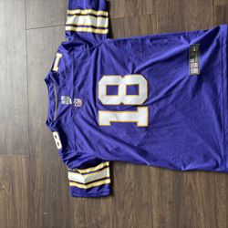 Justin Jefferson Jersey