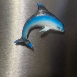 Dolphin Magnet