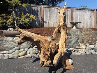 Driftwood/Aquarium/Taxidermy Display Wooden Root Sculpture - SEE DESC.