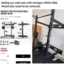 Rogue Wall Mount Rack 
