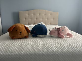 Stuffed Animals