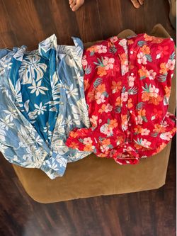 Hawaiian shirts 2 pack