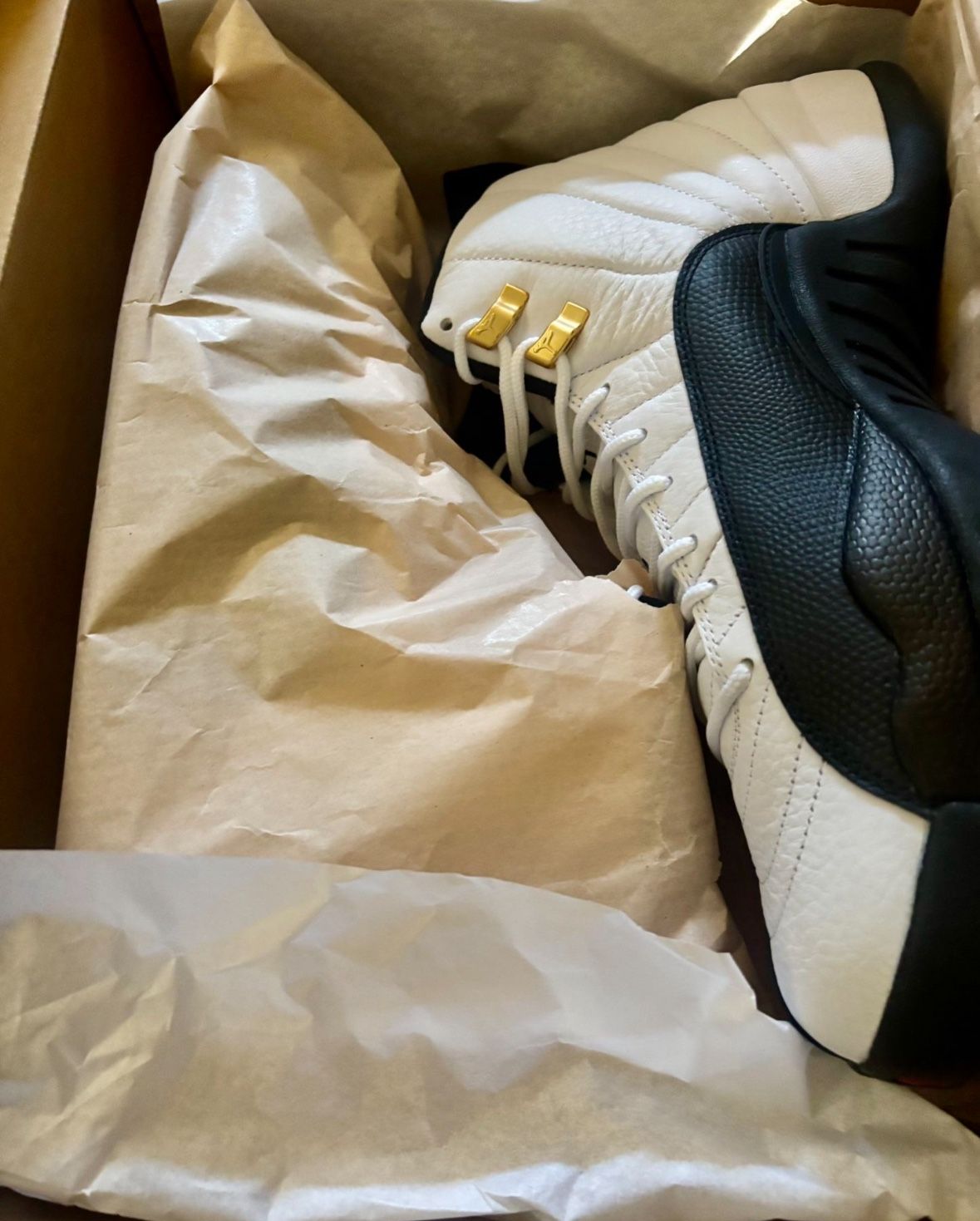 Jordan 12 Size 13 
