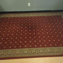 Large Area Rug 
