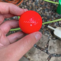 50 Coolerd Balls