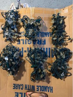 6 bundles holiday white lights free