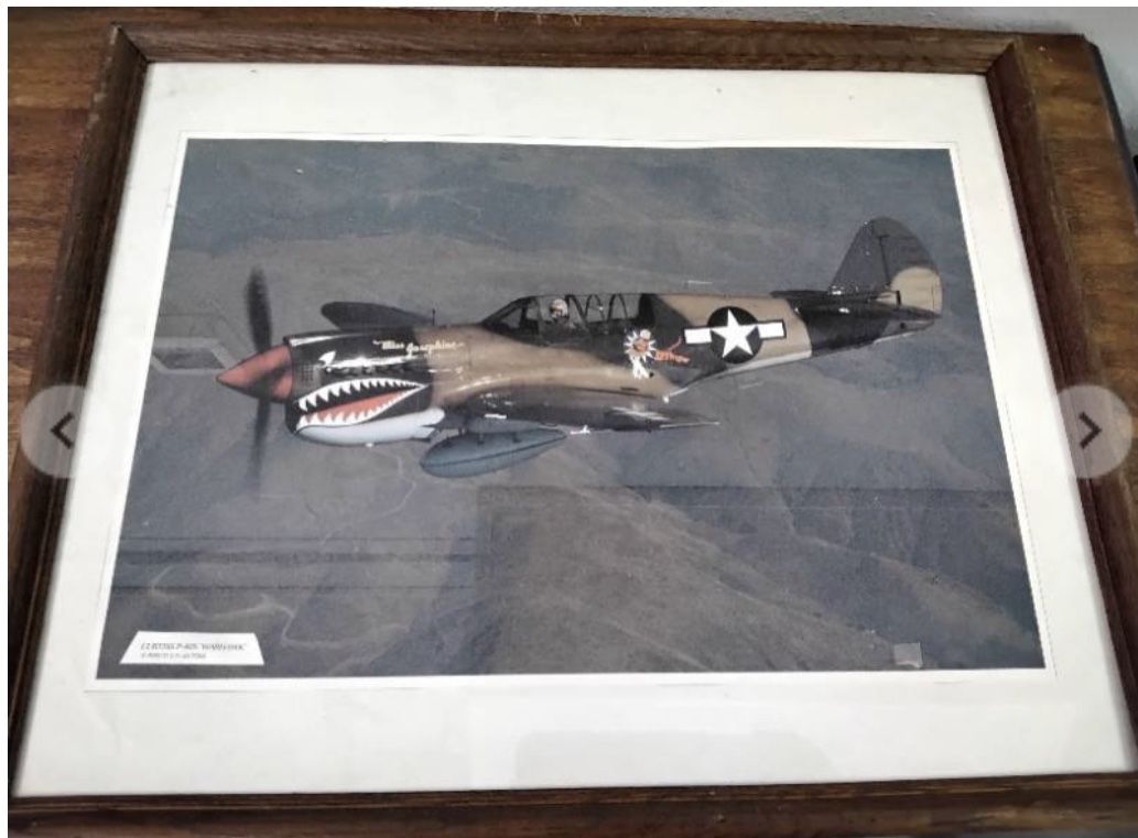 Curtis P-40N warhawk picture 21" * 17"