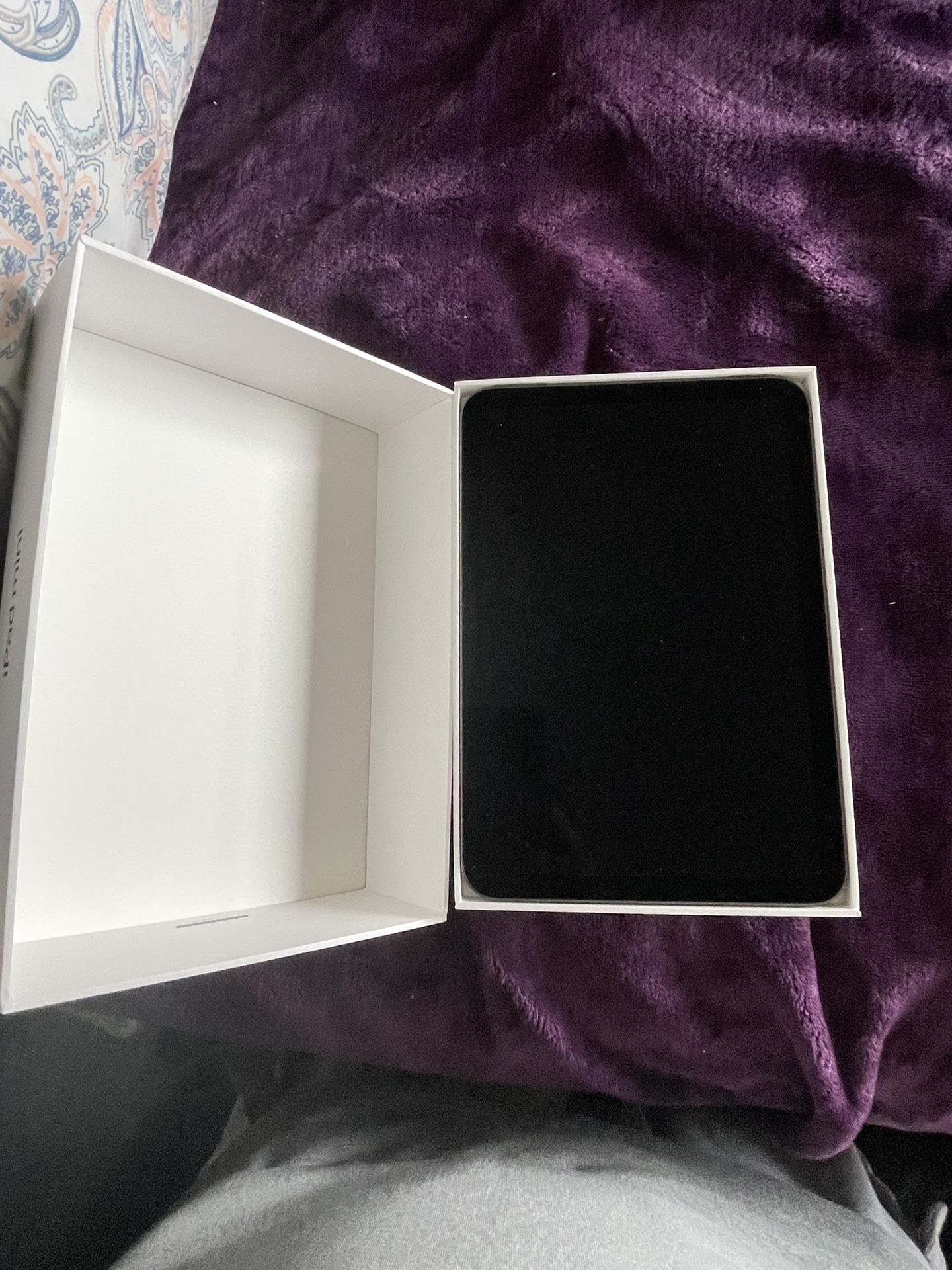 iPad Mini 6