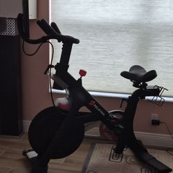 Peloton For Christmas 