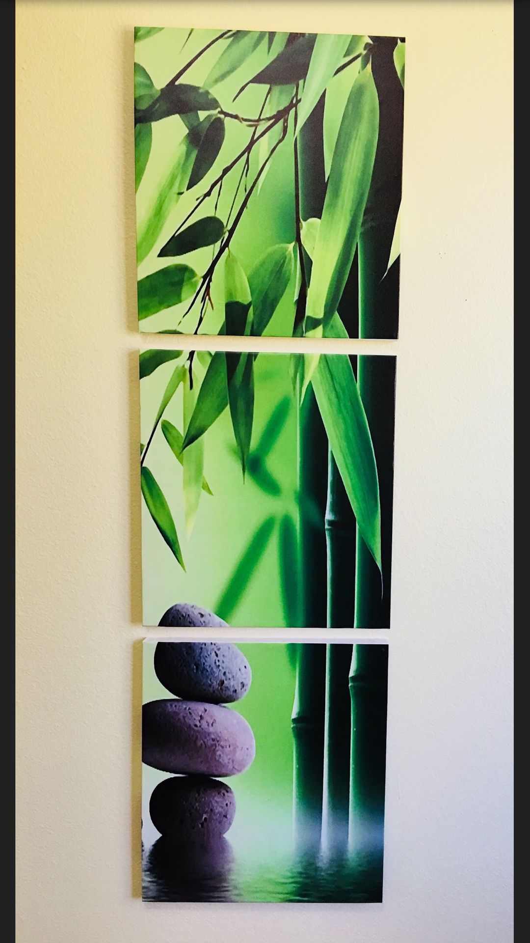 Lucky Bamboo Canvas Wall Decor Painting