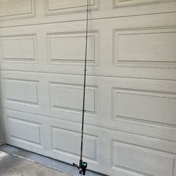 Fishing Rod And Reel