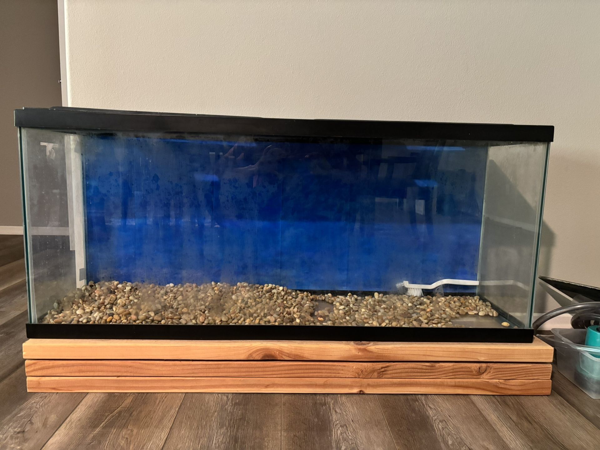 55 Gallon Fish Tank