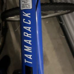 Nishiki Tamarack Bike Blue