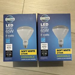BR30 LED Bulbs 65w(soft White)