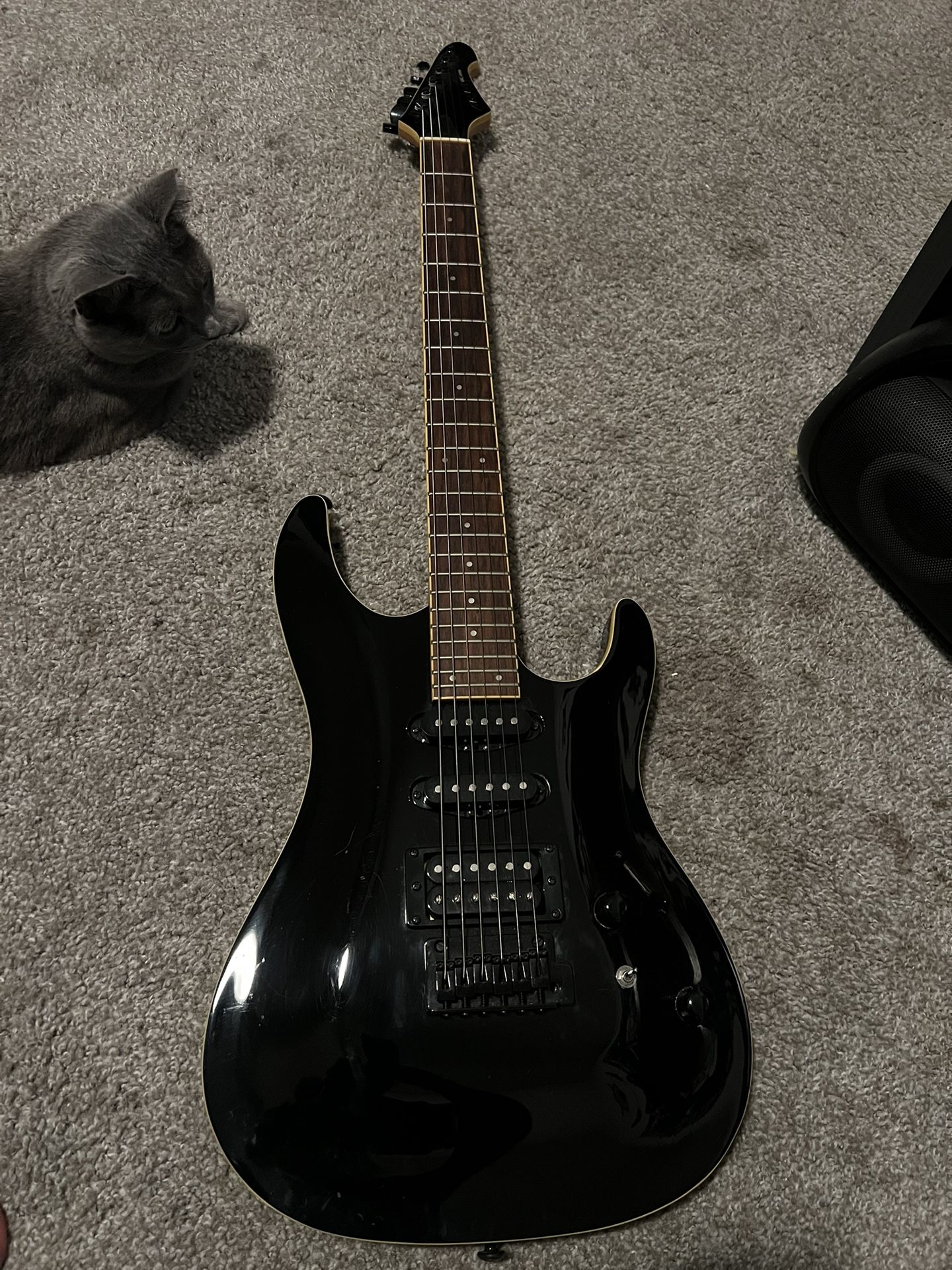 Electric Guitar