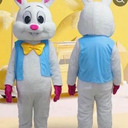 Easter Bunny Outfit 
