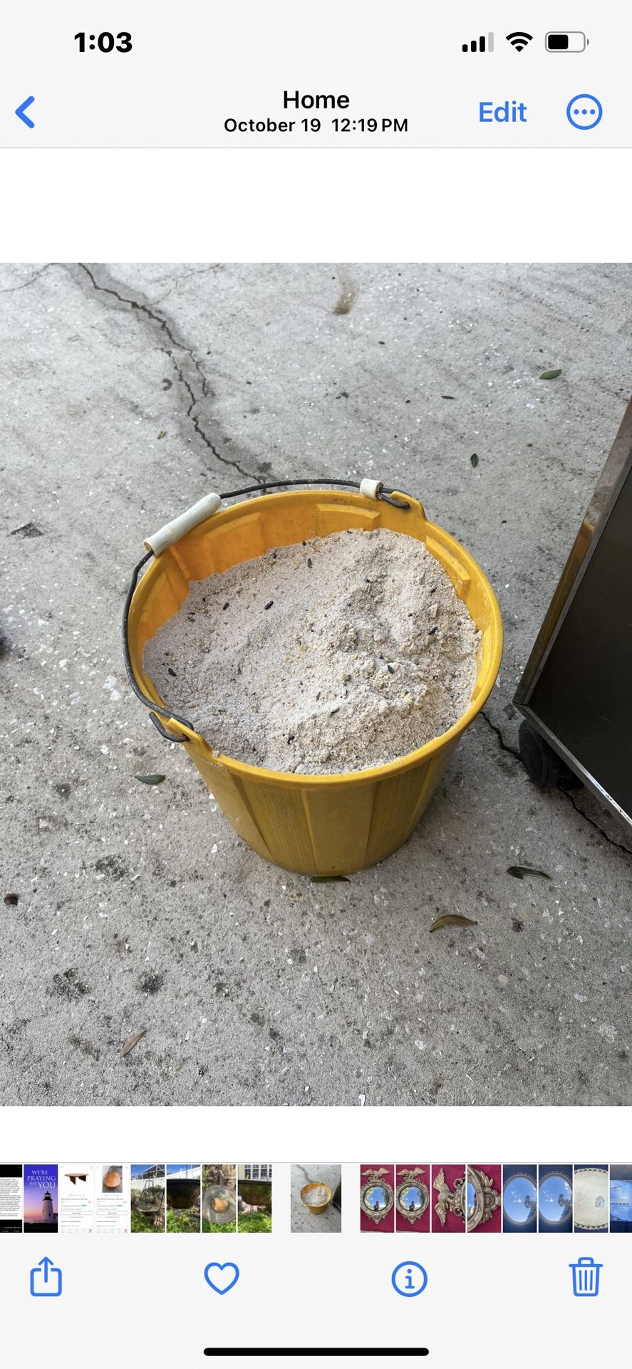 Free Aquarium Sand