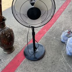 Fan