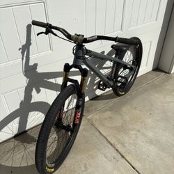 Custom Specailized p3 dirt jumper
