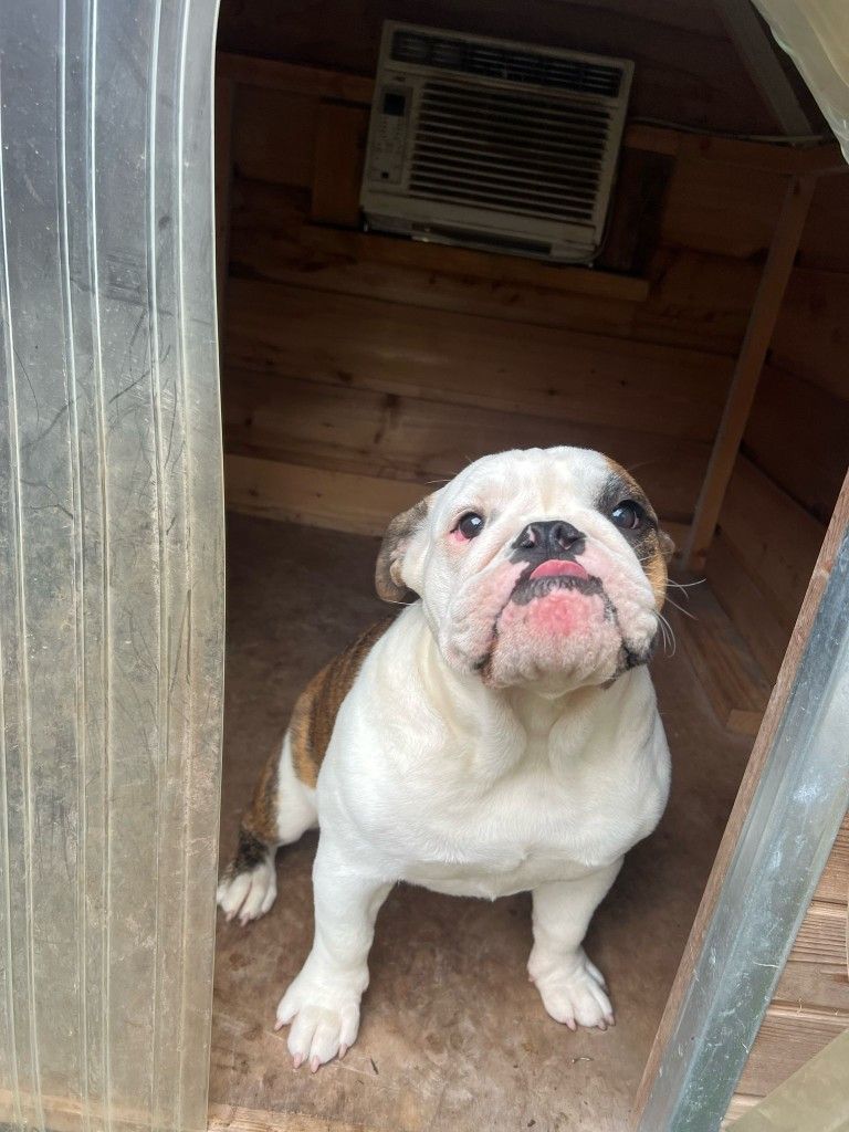 Vendo Lavadora Y Refrigerador
