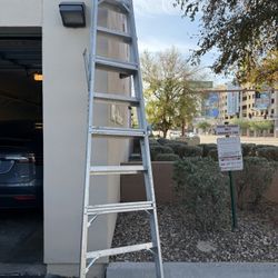 10 ft Industrial Ladder