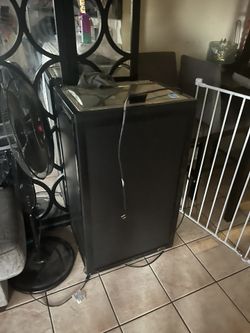 Standing Fridge 
