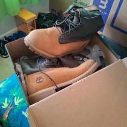 Size 8.5