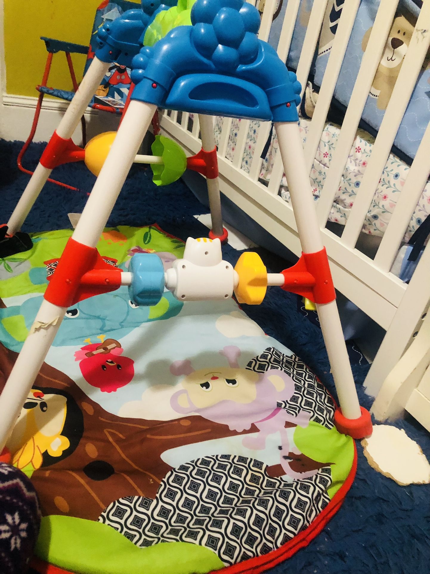 Baby Play Gym 