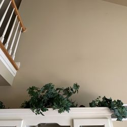 Decorative Greens 