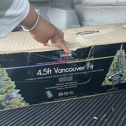 FREE CHRISTMAS TREE
