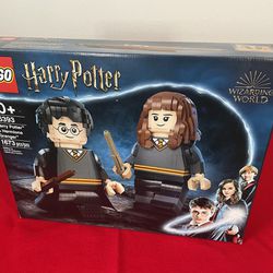 LEGO Harry Potter & Hermione Granger (76393)