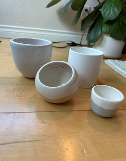 Assorted Ceramic Pots White Gloss Plant