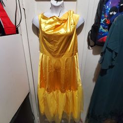 Women's dress Size 2xL