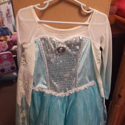 Disney Frozen  Elsa Costume