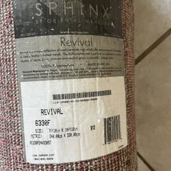Large Carpet Only Used One Or 2 Times No Stain At All Perfect For Any Place