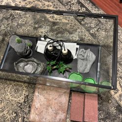 Terrarium With Extras