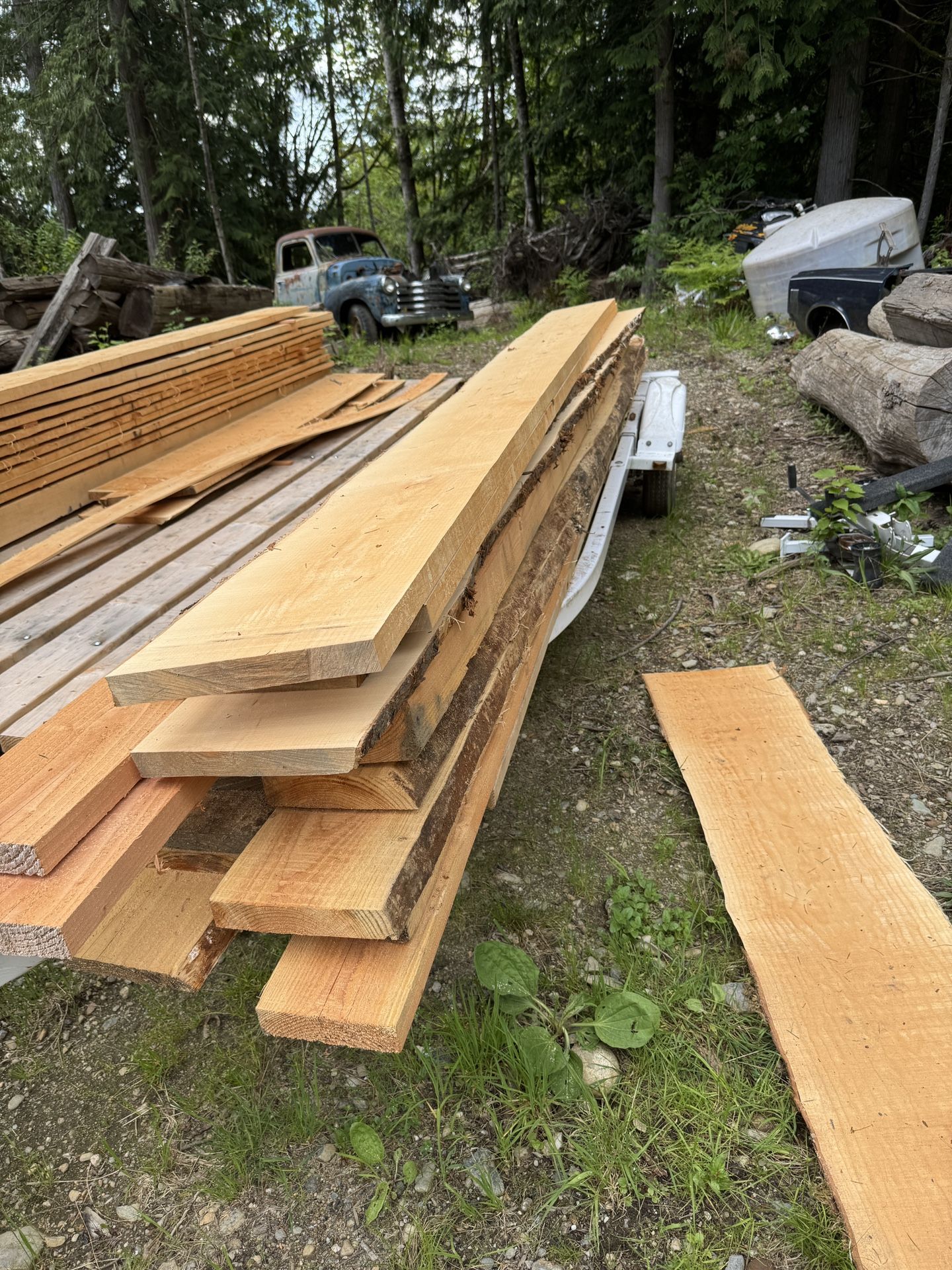 Live Edge Green Maple Boards 1+ / 11+ / 144+ Inches