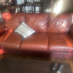 Lightly Used Couch 