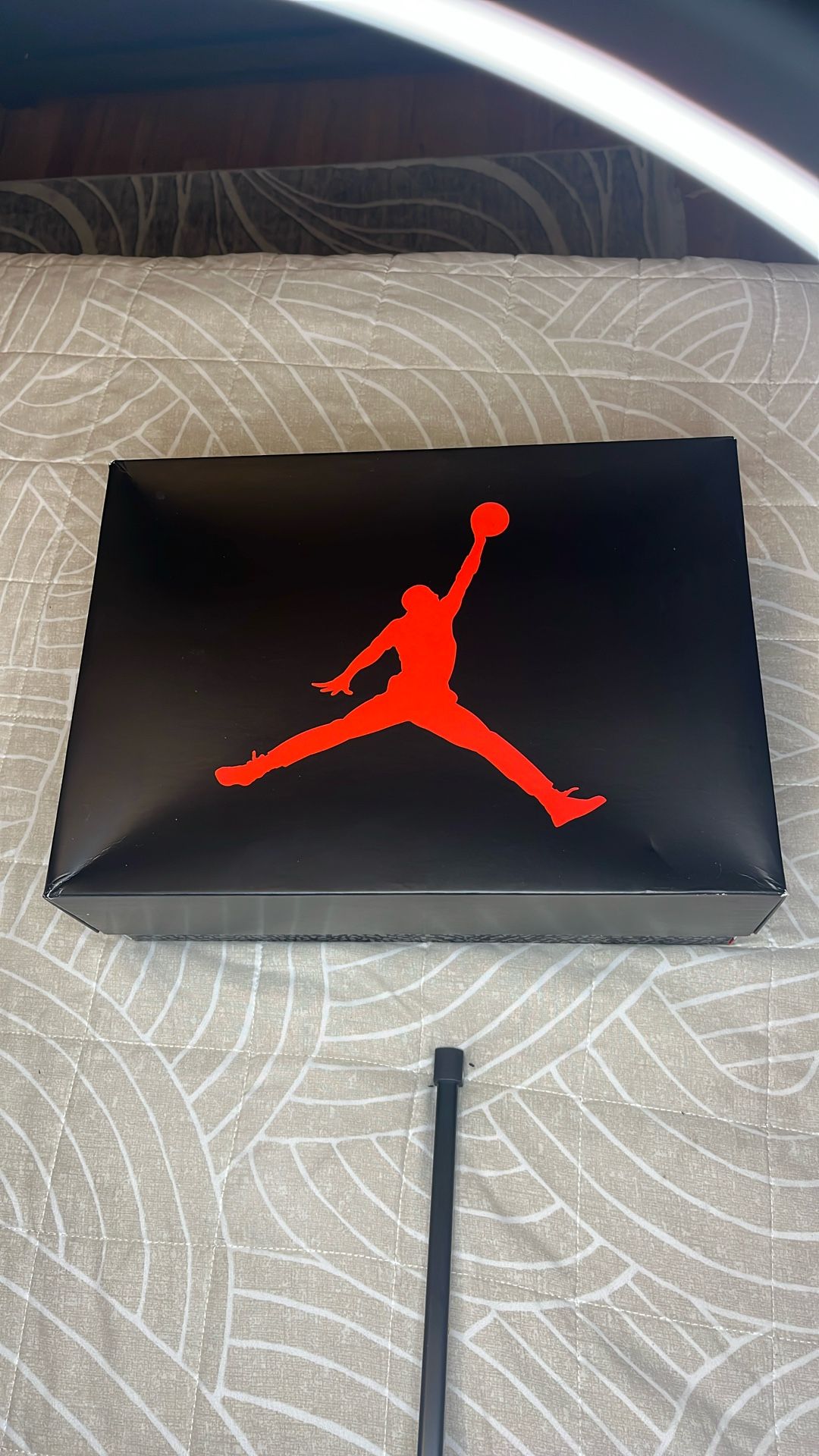Air Jordan 3 Retro Black Cats