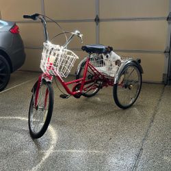 Like New Summit Adult Trike