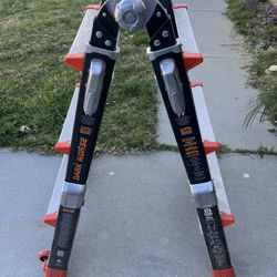 Little Giant Dark Horse Ladder