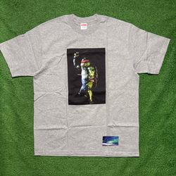 Supreme Raphael Shirt Large