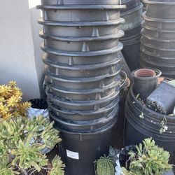 Botes Negros De 15 Galones Estoy Pidiendo Dos 2. 50 Por Cada Uno